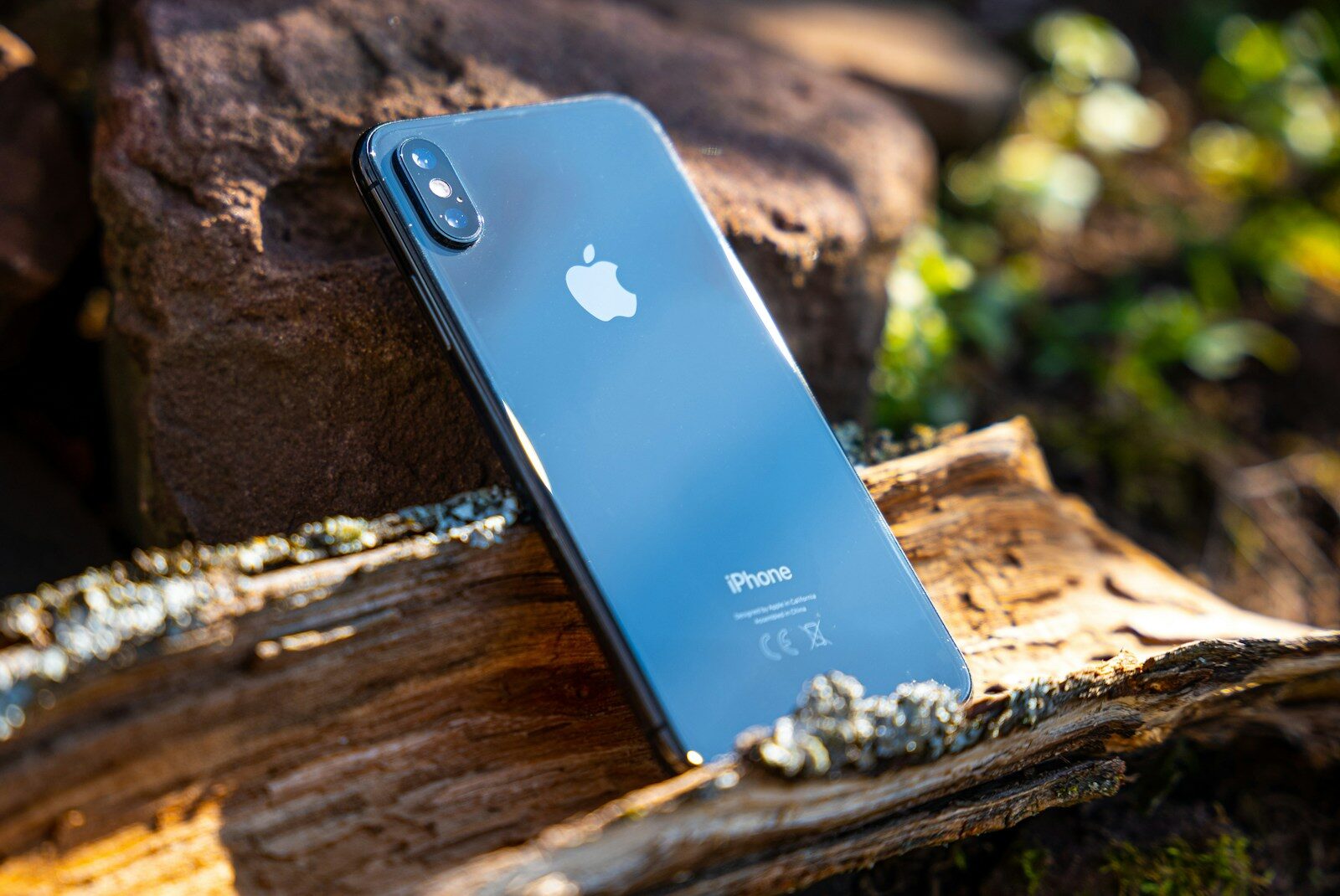 a blue iphone sitting on top of a tree stump
